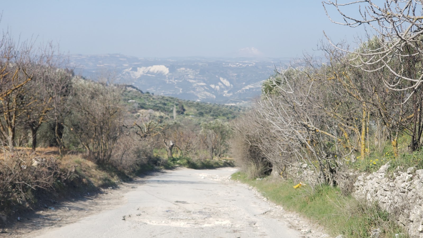 منظر عام لبلدة الجانودية وحقول الزيتون — جبل الزاوية، ريف إدلب