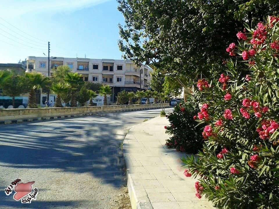 منظر من بلدة الجانودية — ريف إدلب